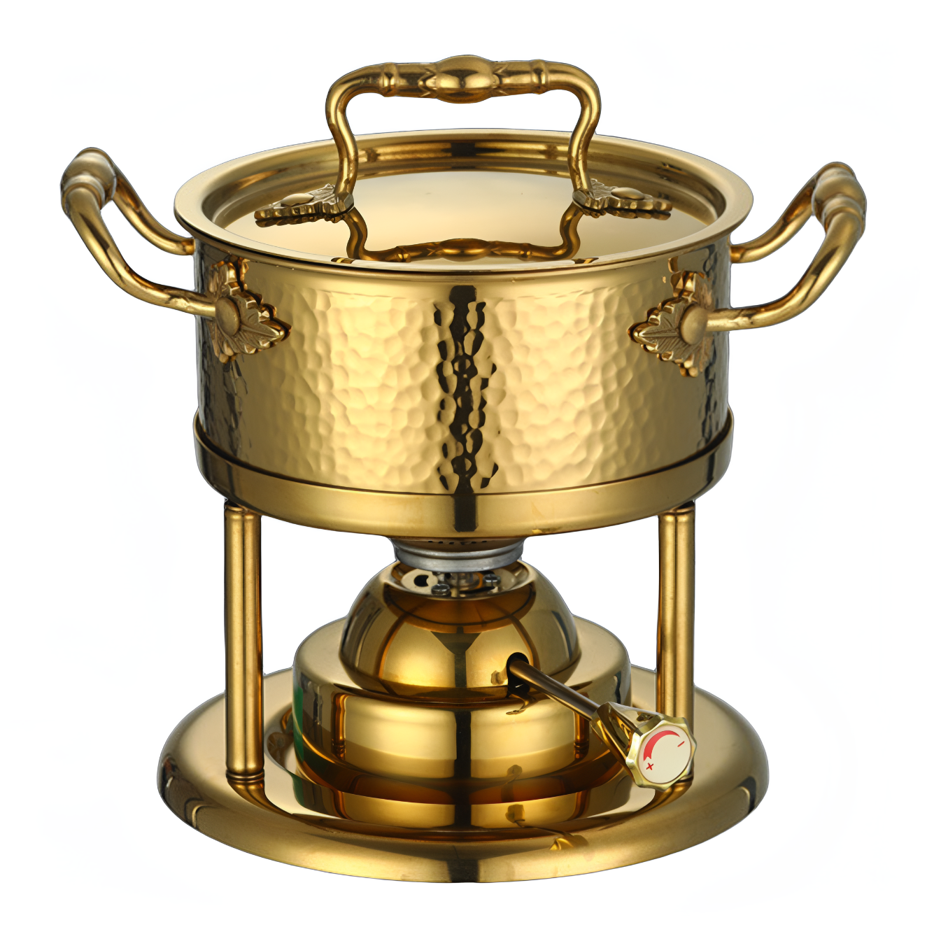 Outdoor Camping Stainless Stee - Outdoor Gas Stove reseña y precio