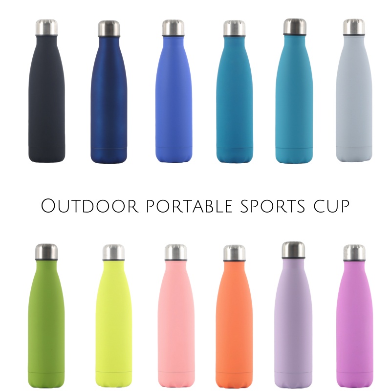 Double Wall Stainles Steel Wat - Vacuum Insulated Flask reseña y precio