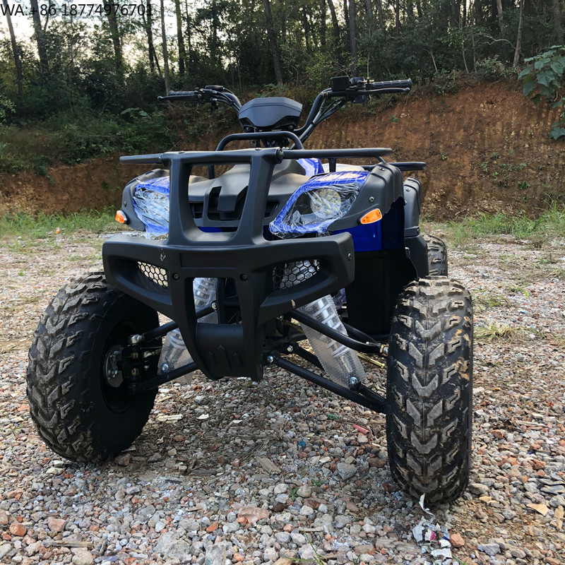 Electric 4 Seater 4WD 4-Stroke - Camping Quad reseña y precio