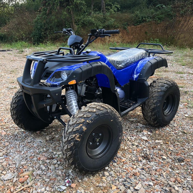 Electric 4 Seater 4WD 4-Stroke - Camping Quad reseña y precio