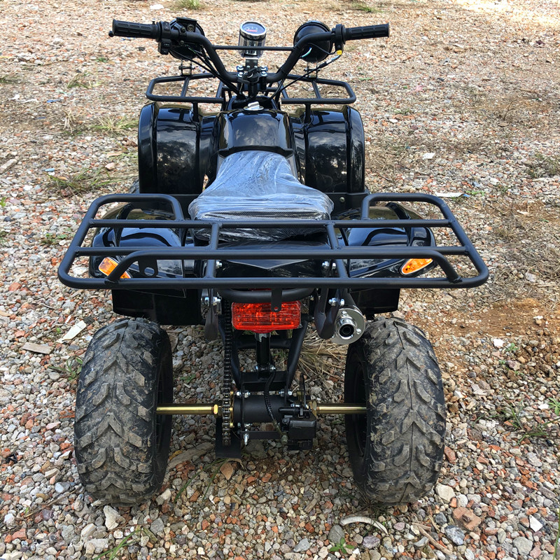 Electric 4 Seater 4WD 4-Stroke - Camping Quad reseña y precio